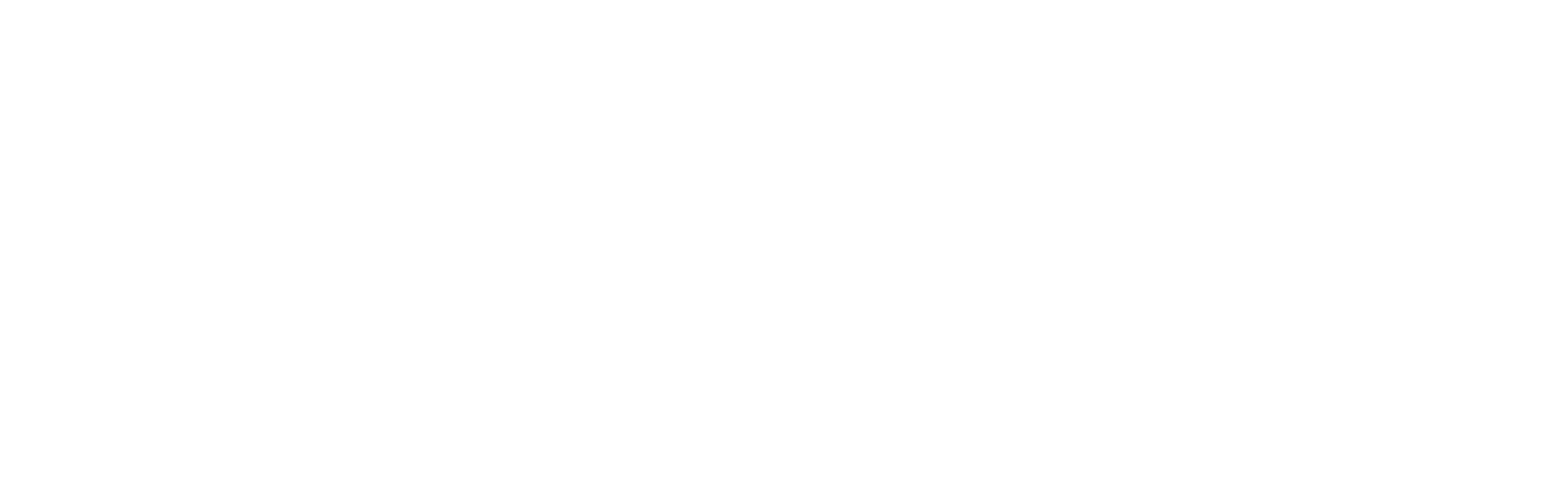 INMEDIA
